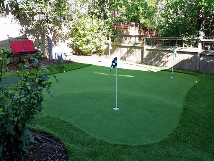 Synthetic Turf Century Village, Florida Indoor Putting Green, Backyards