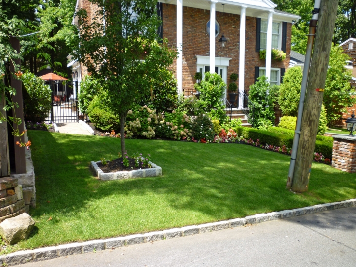 Synthetic Turf Eustis, Florida Garden Ideas, Front Yard Ideas