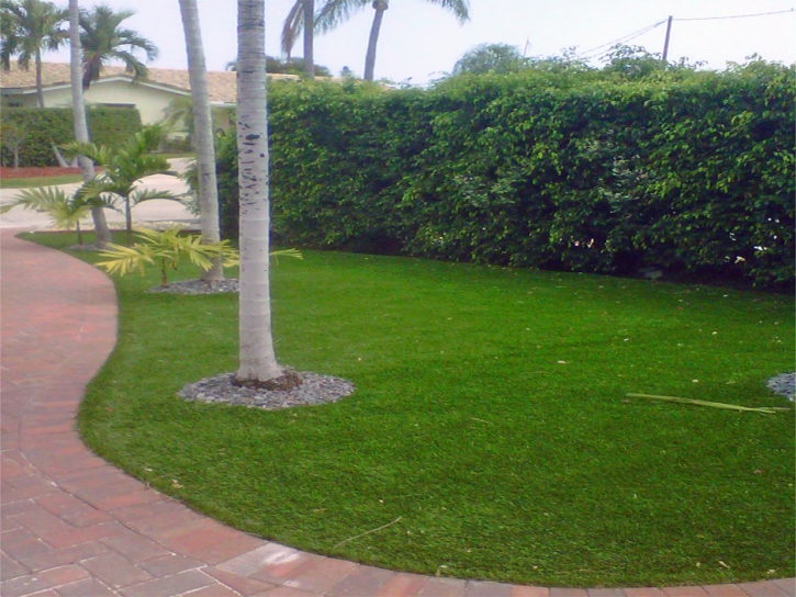 Synthetic Turf Goldenrod, Florida Garden Ideas, Front Yard Landscape Ideas