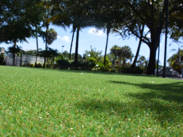 Synthetic Turf Pembroke Park, Florida Landscape Design, Recreational Areas