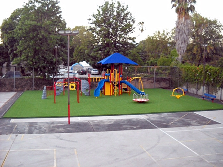 Synthetic Turf Supplier Bayshore Gardens, Florida Athletic Playground, Commercial Landscape