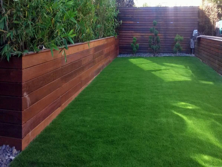 Synthetic Turf Supplier Heathrow, Florida Landscape Ideas, Beautiful Backyards
