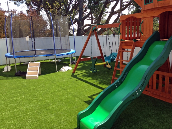 Synthetic Turf Supplier Three Lakes, Florida Playground, Backyard Garden Ideas