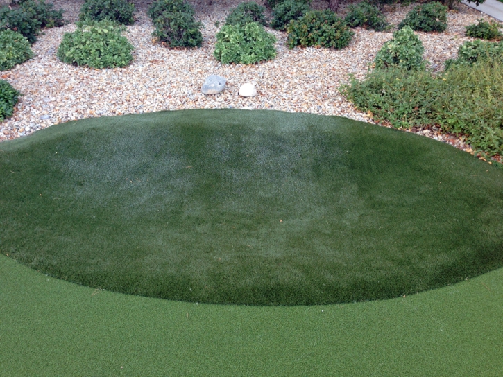 Synthetic Turf Venice, Florida Indoor Putting Greens