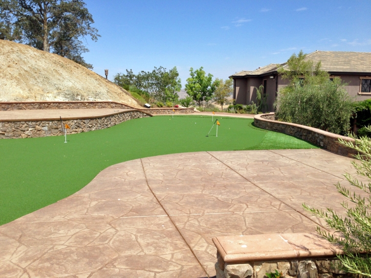 Synthetic Turf Wright, Florida Indoor Putting Green, Backyard Landscaping