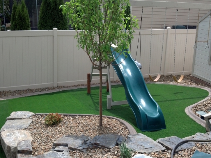 Turf Grass Boca Del Mar, Florida Backyard Playground, Backyard Landscaping Ideas
