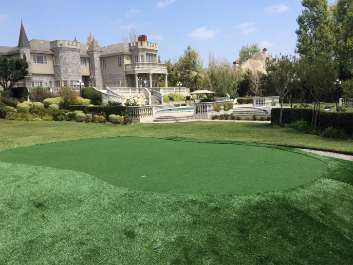 Turf Grass Gateway, Florida Indoor Putting Greens, Front Yard Landscape Ideas