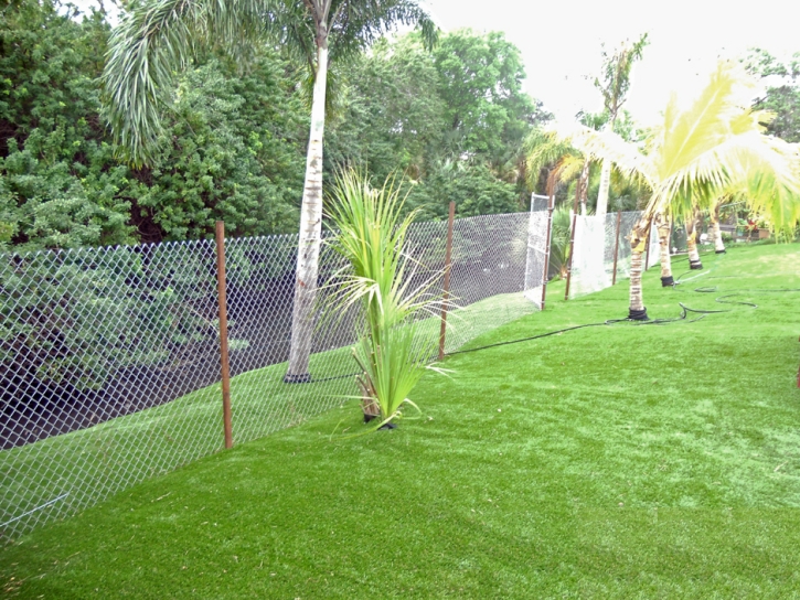 Turf Grass Inverness Highlands South, Florida Roof Top, Backyards