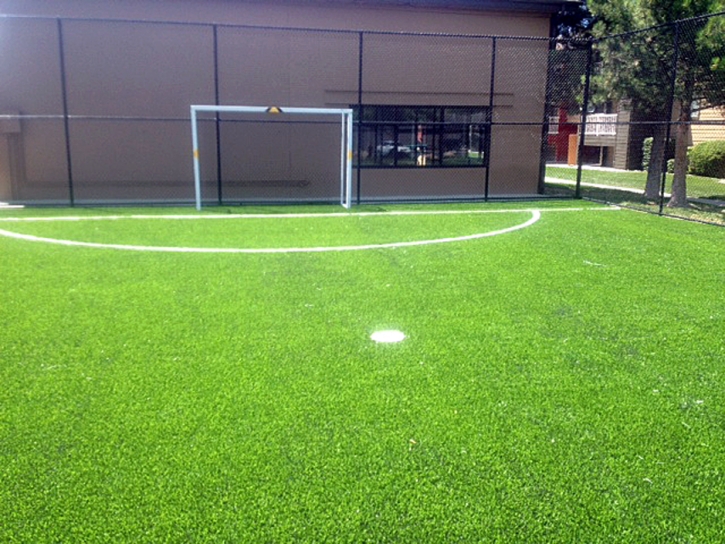 Turf Grass Temple Terrace, Florida Roof Top