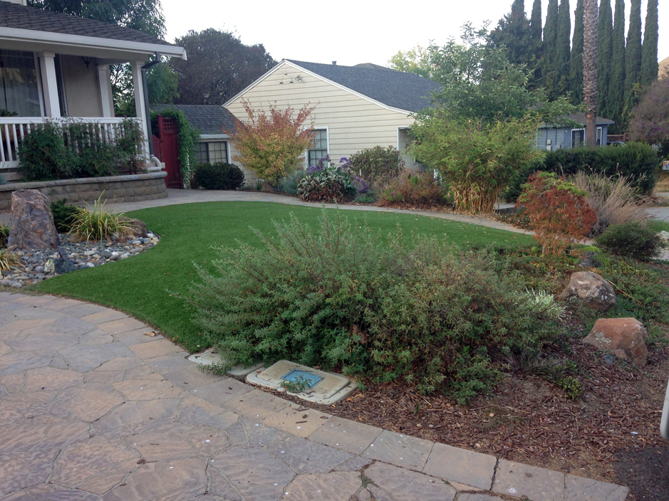 Florida Landscaping Business, Florida Landscape Ideas Without Grass